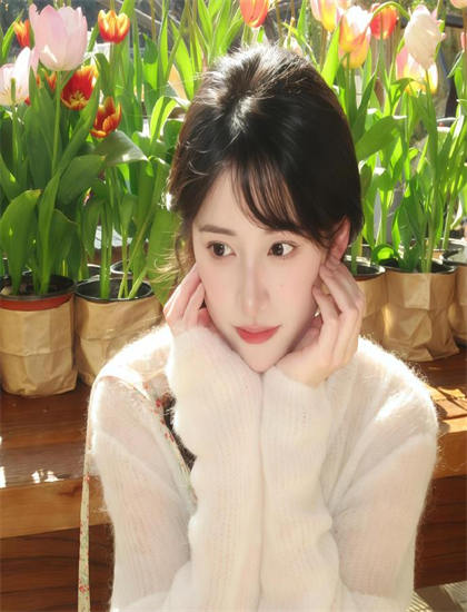 《丁丁的影子：埃尔热》制作内幕：色彩的运用技巧与情绪传达 感受创作的魅力与挑战